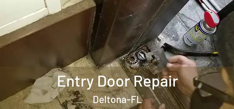  Entry Door Repair Deltona-FL